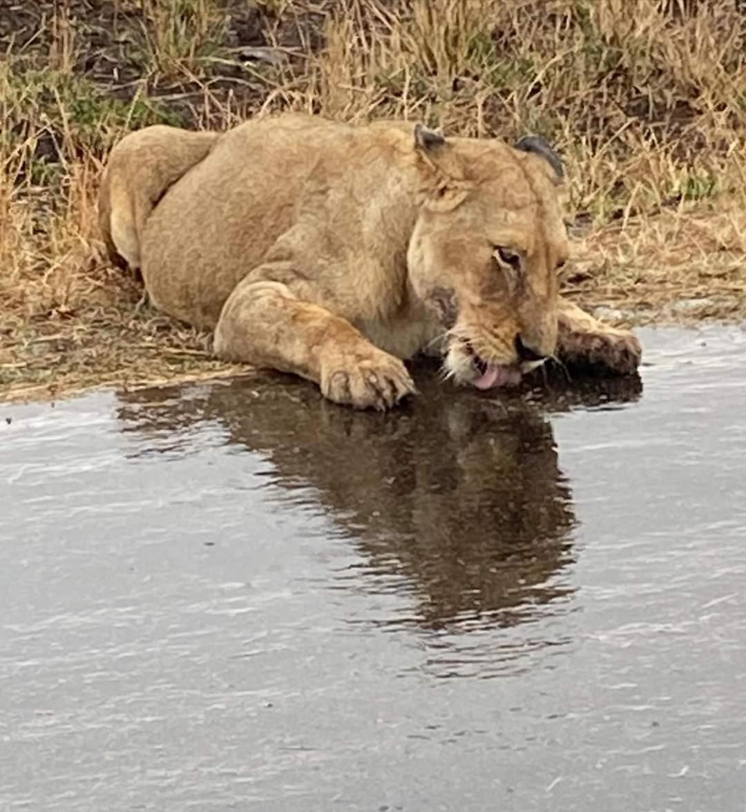 Overnight Stop Before Kruger National Park Phalaborwa Esterno foto