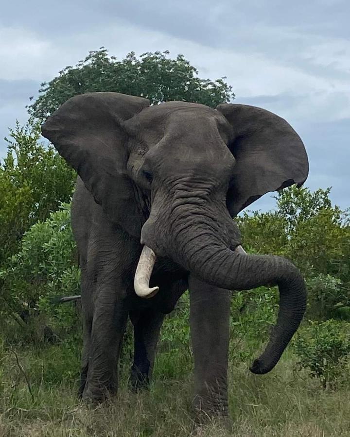 Overnight Stop Before Kruger National Park Phalaborwa Esterno foto